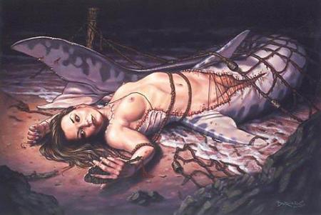 Sir�ne �chou�e ... prise dans un filet ... miroir ...